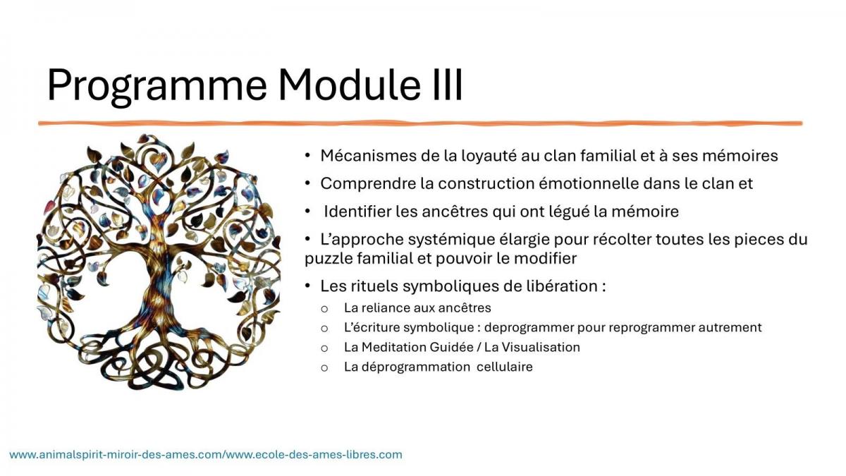 F modle iii p2